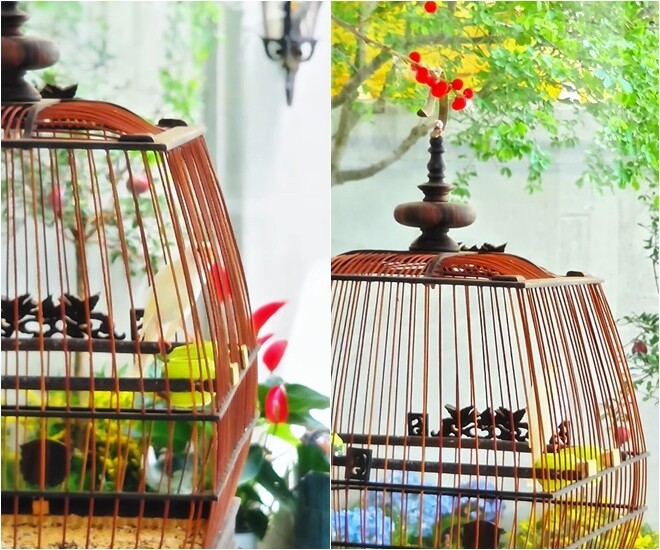Góc nuôi chim cảnh lý tưởng của nam diễn viên được đặt gần khung cửa kính lớn nhìn ra sân vườn xanh mượt. Thú vui tao nhã này giúp nam diễn viên thư giãn sau những giờ làm việc căng thẳng.