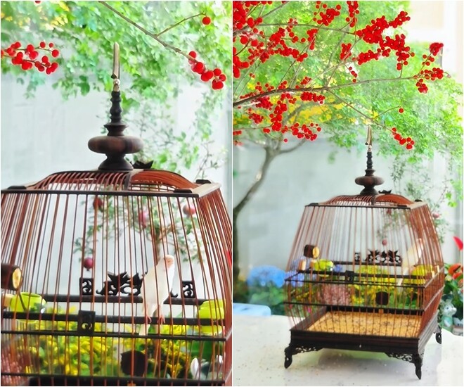 Mạnh Trường hào hứng khoe chiếc lồng chim bằng gỗ được chạm khắc vô cùng tinh xảo đặt giữa không gian sân vườn. Chú chim cảnh nhỏ sắc trắng - vàng nhạt mang lại nét sinh động, bình yên cho góc nhà.