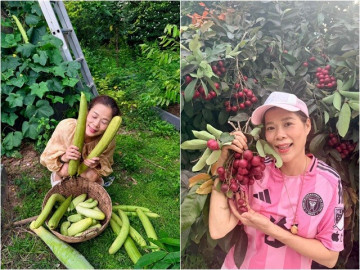 Nữ ca sĩ là Phó Chủ tịch tập đoàn đội nón ra vườn trời mưa: Khu vườn rộng trái tua tủa, lớn không kịp hái