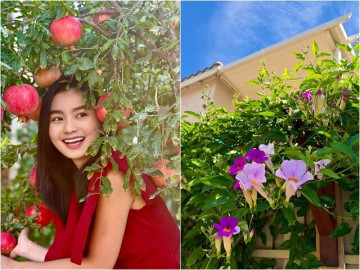 Nhà đẹp - "Em gái Hồng Đăng" có ngôi nhà xinh đúng mơ ước từ nhỏ, giàn hoa leo phủ kín tường đẹp nên thơ