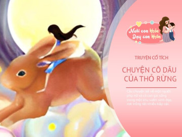 Truyện cổ tích: Cô dâu của thỏ rừng
