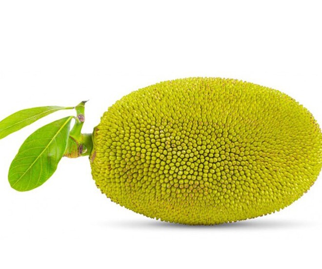 Món xưa chỉ dành cho amp;#34;nhà nghèoamp;#34; nay thành đặc sản giá 50.000 đ/kg, làm nhiều món ăn ngon, tốt cho sức  khỏe - 1