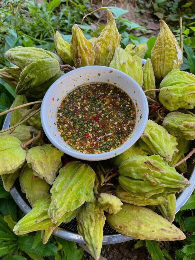 Loại quả mọc bờ rào xưa chín rụng đầy gốc nay thành đặc sản 80.000 đ/kg, trồng một lần thu hoạch nhiều năm, người thành phố ưa chuộng - 2