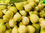 Lifestyle - Loại quả tốt trên thế giới, Việt Nam trồng bạt ngàn thành đặc sản có giá 60.000 đ/kg, thu hoạch nhiều năm
