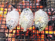 Lifestyle - Loài cá có tên của một loại trái cây, xưa không ai ăn nay thành đặc sản 350.000 đ/kg, du khách thích mê