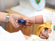 Sức khỏe - TPHCM: Phát hiện chùm ca não mô cầu, một học sinh tử vong