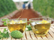 Sức khỏe - Vì sao người Nhật Bản uống trà mướp đắng mỗi ngày?