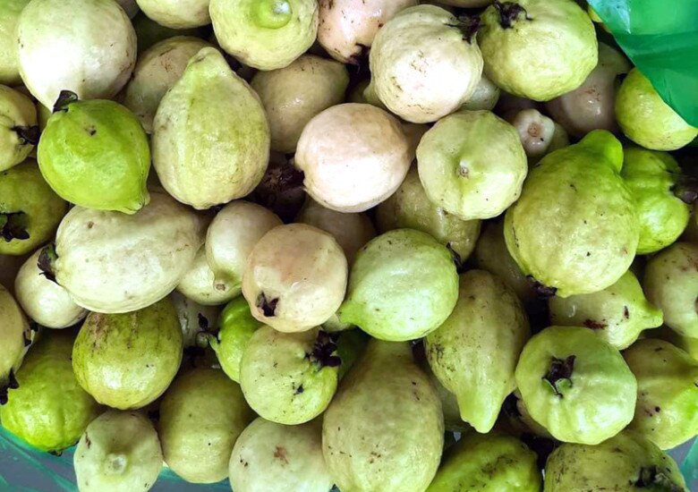 Loại quả tốt trên thế giới, Việt Nam trồng bạt ngàn thành đặc sản có giá 60.000 đ/kg, thu hoạch nhiều năm - 3