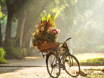 Miền Bắc nắng hanh 34 độ kéo dài, sáng sớm có sương mù nhẹ