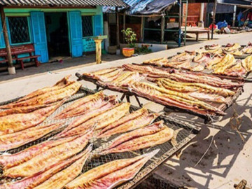 Đặc sản nổi tiếng tên vô cùng lạ, mỗi năm chỉ có một mùa, xưa không ai ăn nay được ưa chuộng giá 240.000 đ/kg