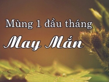 Sáng mùng 1 tháng 9 năm Bính Ngọ làm ngay 6 việc và tránh 3 điều để cả tháng bình an, Thần tài gõ cửa