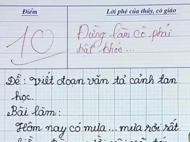Yêu con - Viết văn tả cảnh tan học, bé tiểu học nhận điểm 10 tròn trĩnh, cô giáo lên tiếng: Đừng làm cô khóc