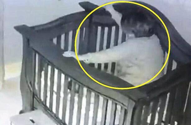 Bà nội bế cháu đi ngủ lúc nửa đêm nhưng xảy ra sự cố thót tim, người mẹ xem camera liền đăng ngay lên mạng - 3