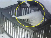 Yêu con - Bà nội bế cháu đi ngủ lúc nửa đêm nhưng xảy ra sự cố thót tim, người mẹ xem camera liền đăng ngay lên mạng