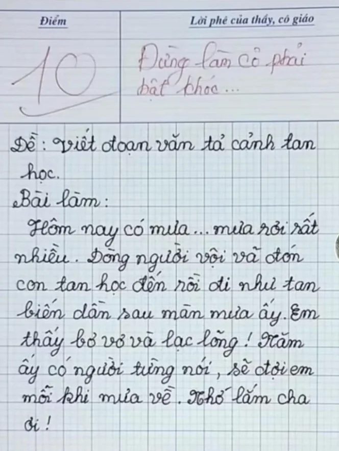 Bài văn của bé học sinh khiến ai đọc cũng xúc động.