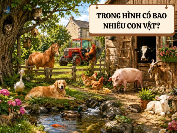 Nuôi con IQ EQ - Đố bé có bao nhiêu con vật trong ảnh?