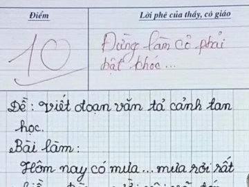 Viết văn tả cảnh tan học, bé tiểu học nhận điểm 10 tròn trĩnh, cô giáo lên tiếng: Đừng làm cô khóc