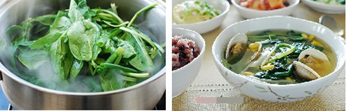 Canh giá đỗ rau cải bó xôi - 3