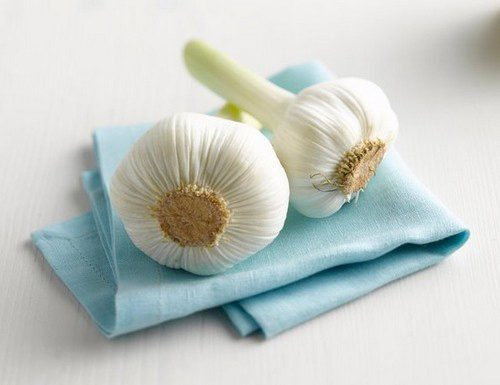 quot;Thần dượcquot; giúp bạn điều trị cảm lạnh - 2